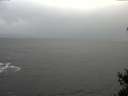 ./images/koeye/fitz-hugh/20141208/fitz-hugh20141208_140302.jpg