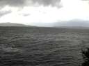 ./images/koeye/fitz-hugh/20141209/fitz-hugh20141209_121803.jpg