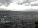 ./images/koeye/fitz-hugh/20141209/fitz-hugh20141209_122103.jpg