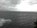 ./images/koeye/fitz-hugh/20141209/fitz-hugh20141209_123302.jpg