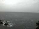 ./images/koeye/fitz-hugh/20141210/fitz-hugh20141210_080302.jpg