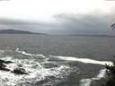 ./images/koeye/fitz-hugh/20141211/fitz-hugh20141211_080302.jpg