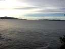 ./images/koeye/fitz-hugh/20141211/fitz-hugh20141211_140301.jpg