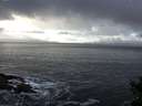 ./images/koeye/fitz-hugh/20141212/fitz-hugh20141212_120303.jpg