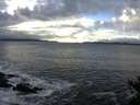 ./images/koeye/fitz-hugh/20141212/fitz-hugh20141212_123302.jpg