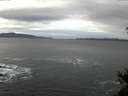 ./images/koeye/fitz-hugh/20141215/fitz-hugh20141215_080301.jpg