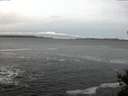 ./images/koeye/fitz-hugh/20141217/fitz-hugh20141217_080303.jpg