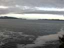 ./images/koeye/fitz-hugh/20141217/fitz-hugh20141217_100302.jpg