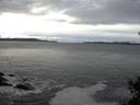 ./images/koeye/fitz-hugh/20141217/fitz-hugh20141217_120301.jpg