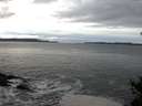 ./images/koeye/fitz-hugh/20141217/fitz-hugh20141217_121802.jpg