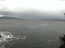 ./images/koeye/fitz-hugh/20141219/fitz-hugh20141219_080303.jpg