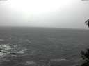 ./images/koeye/fitz-hugh/20141219/fitz-hugh20141219_123302.jpg