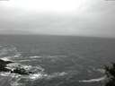 ./images/koeye/fitz-hugh/20141219/fitz-hugh20141219_140303.jpg