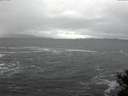 ./images/koeye/fitz-hugh/20141220/fitz-hugh20141220_121803.jpg