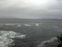 ./images/koeye/fitz-hugh/20141220/fitz-hugh20141220_122702.jpg