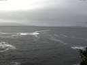 ./images/koeye/fitz-hugh/20141220/fitz-hugh20141220_123303.jpg