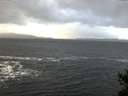 ./images/koeye/fitz-hugh/20141221/fitz-hugh20141221_100303.jpg
