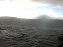 ./images/koeye/fitz-hugh/20141221/fitz-hugh20141221_120302.jpg