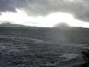 ./images/koeye/fitz-hugh/20141221/fitz-hugh20141221_122701.jpg
