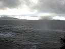 ./images/koeye/fitz-hugh/20141221/fitz-hugh20141221_123302.jpg