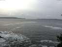 ./images/koeye/fitz-hugh/20141222/fitz-hugh20141222_100302.jpg