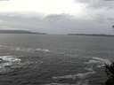 ./images/koeye/fitz-hugh/20141222/fitz-hugh20141222_122702.jpg