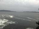 ./images/koeye/fitz-hugh/20141222/fitz-hugh20141222_140302.jpg
