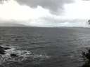 ./images/koeye/fitz-hugh/20141223/fitz-hugh20141223_100301.jpg