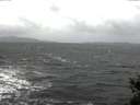 ./images/koeye/fitz-hugh/20141223/fitz-hugh20141223_120301.jpg
