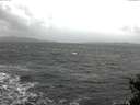 ./images/koeye/fitz-hugh/20141223/fitz-hugh20141223_121802.jpg