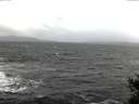 ./images/koeye/fitz-hugh/20141223/fitz-hugh20141223_122402.jpg