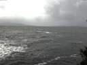 ./images/koeye/fitz-hugh/20141223/fitz-hugh20141223_123302.jpg