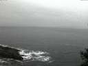 ./images/koeye/fitz-hugh/20141224/fitz-hugh20141224_080302.jpg