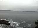 ./images/koeye/fitz-hugh/20141225/fitz-hugh20141225_080302.jpg