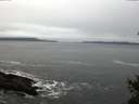 ./images/koeye/fitz-hugh/20141225/fitz-hugh20141225_100302.jpg