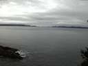 ./images/koeye/fitz-hugh/20141226/fitz-hugh20141226_080302.jpg