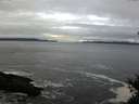 ./images/koeye/fitz-hugh/20141226/fitz-hugh20141226_100303.jpg