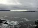 ./images/koeye/fitz-hugh/20141226/fitz-hugh20141226_122402.jpg