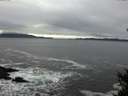 ./images/koeye/fitz-hugh/20141226/fitz-hugh20141226_123302.jpg