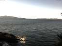 ./images/koeye/fitz-hugh/20141229/fitz-hugh20141229_122403.jpg