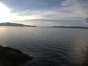 ./images/koeye/fitz-hugh/20141230/fitz-hugh20141230_140301.jpg