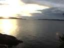 ./images/koeye/fitz-hugh/20141230/fitz-hugh20141230_160302.jpg