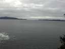 ./images/koeye/fitz-hugh/20150101/fitz-hugh20150101_100303.jpg