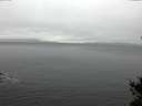 ./images/koeye/fitz-hugh/20150103/fitz-hugh20150103_121803.jpg