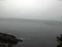 ./images/koeye/fitz-hugh/20150103/fitz-hugh20150103_160301.jpg