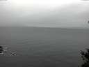 ./images/koeye/fitz-hugh/20150104/fitz-hugh20150104_140301.jpg