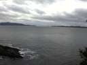 ./images/koeye/fitz-hugh/20150104/fitz-hugh20150104_160301.jpg