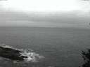 ./images/koeye/fitz-hugh/20150105/fitz-hugh20150105_080302.jpg