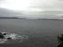 ./images/koeye/fitz-hugh/20150105/fitz-hugh20150105_100303.jpg