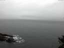 ./images/koeye/fitz-hugh/20150105/fitz-hugh20150105_160301.jpg